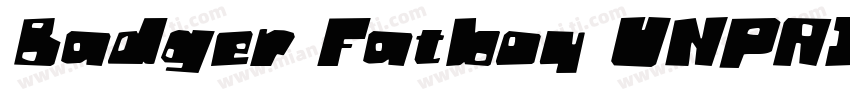 Badger Fatboy UNPAID DEMO字体转换